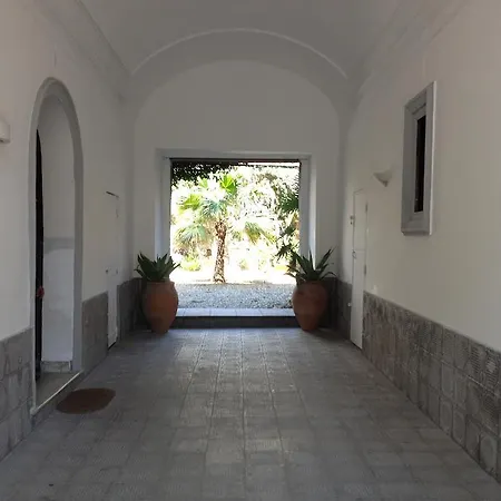 Alcala Living * Katánie